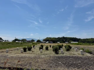 体も気持ちも安定しています