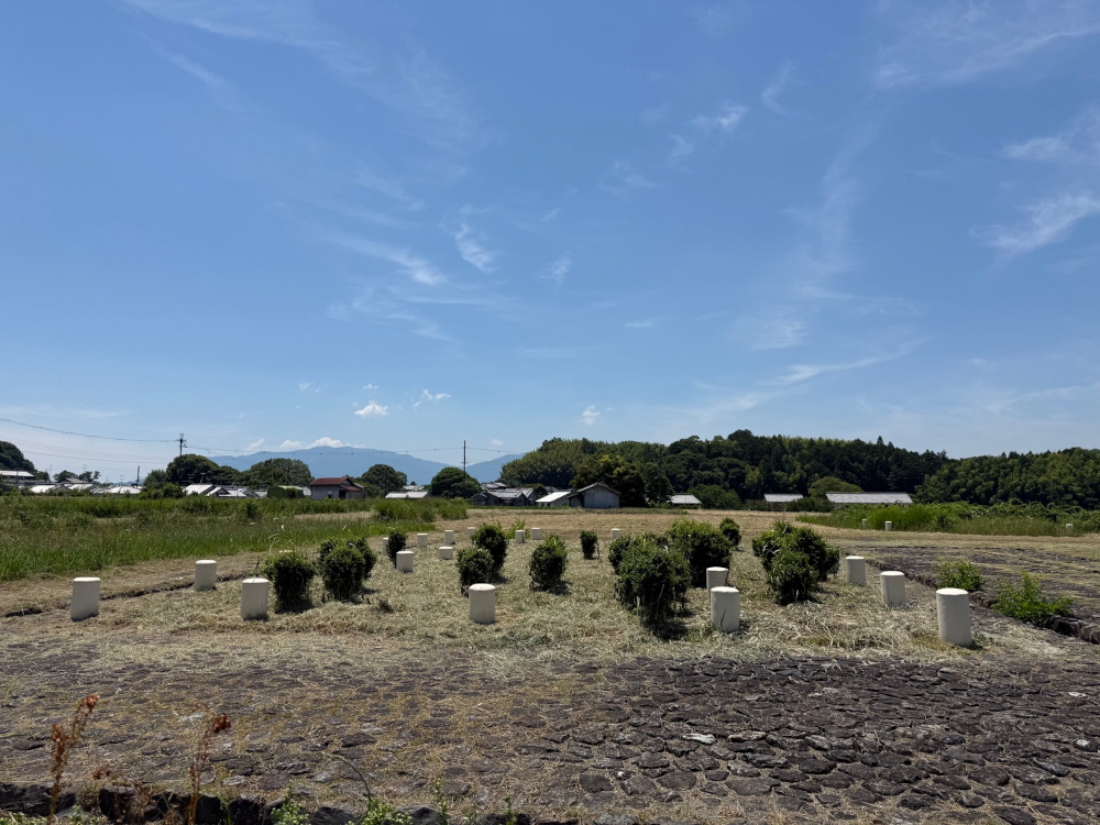 体も気持ちも安定しています