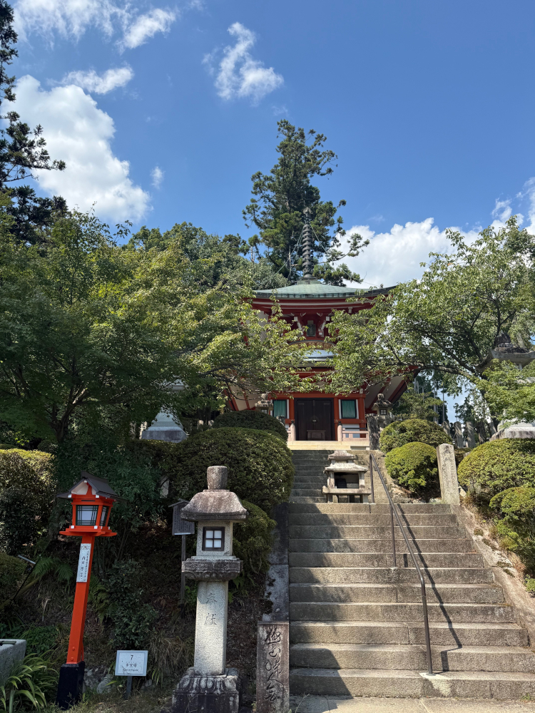 鼻炎は常にあり特に花粉の時期に酷った