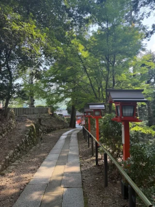 外で走り回って運動する遊びが好きになったようです