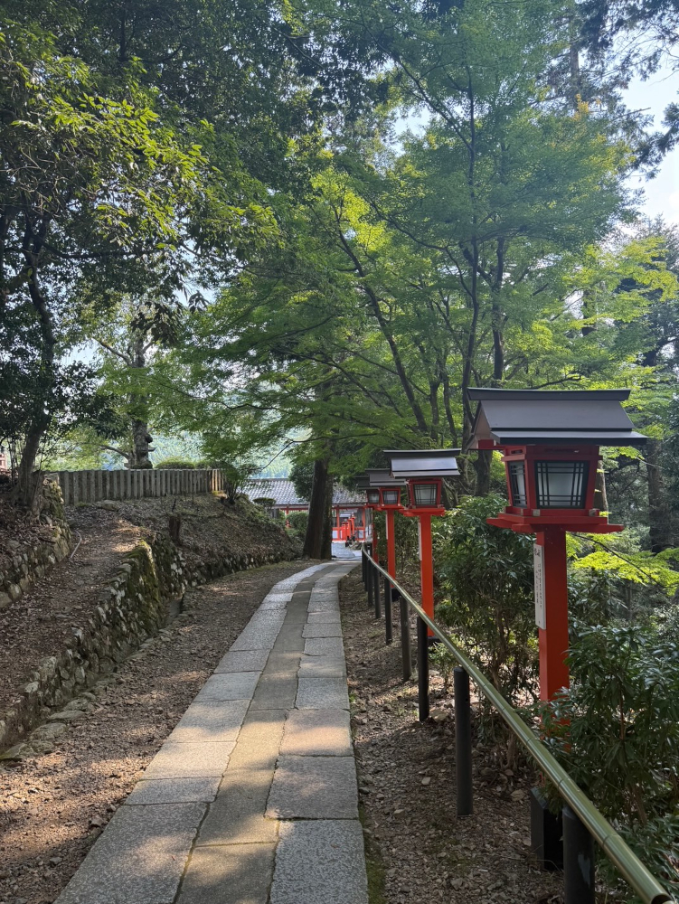外で走り回って運動する遊びが好きになったようです