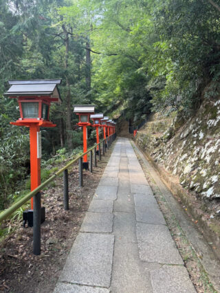 驚き、恐れを強く感じていたのが治まってきました