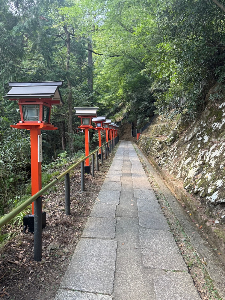 驚き、恐れを強く感じていたのが治まってきました