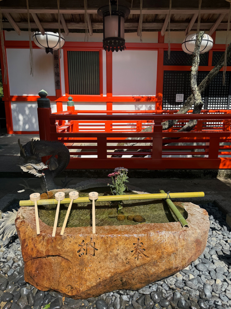 肛門の状態は落ち着いてます