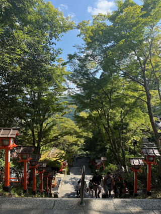 ぎっくり腰の痛みが治まってきました