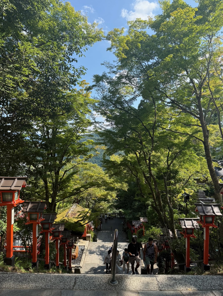ぎっくり腰の痛みが治まってきました