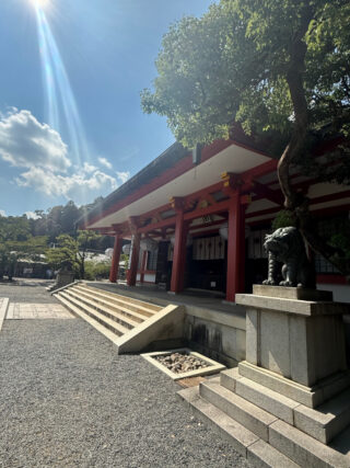 亜鉛の数値がびっくりするくらい改善