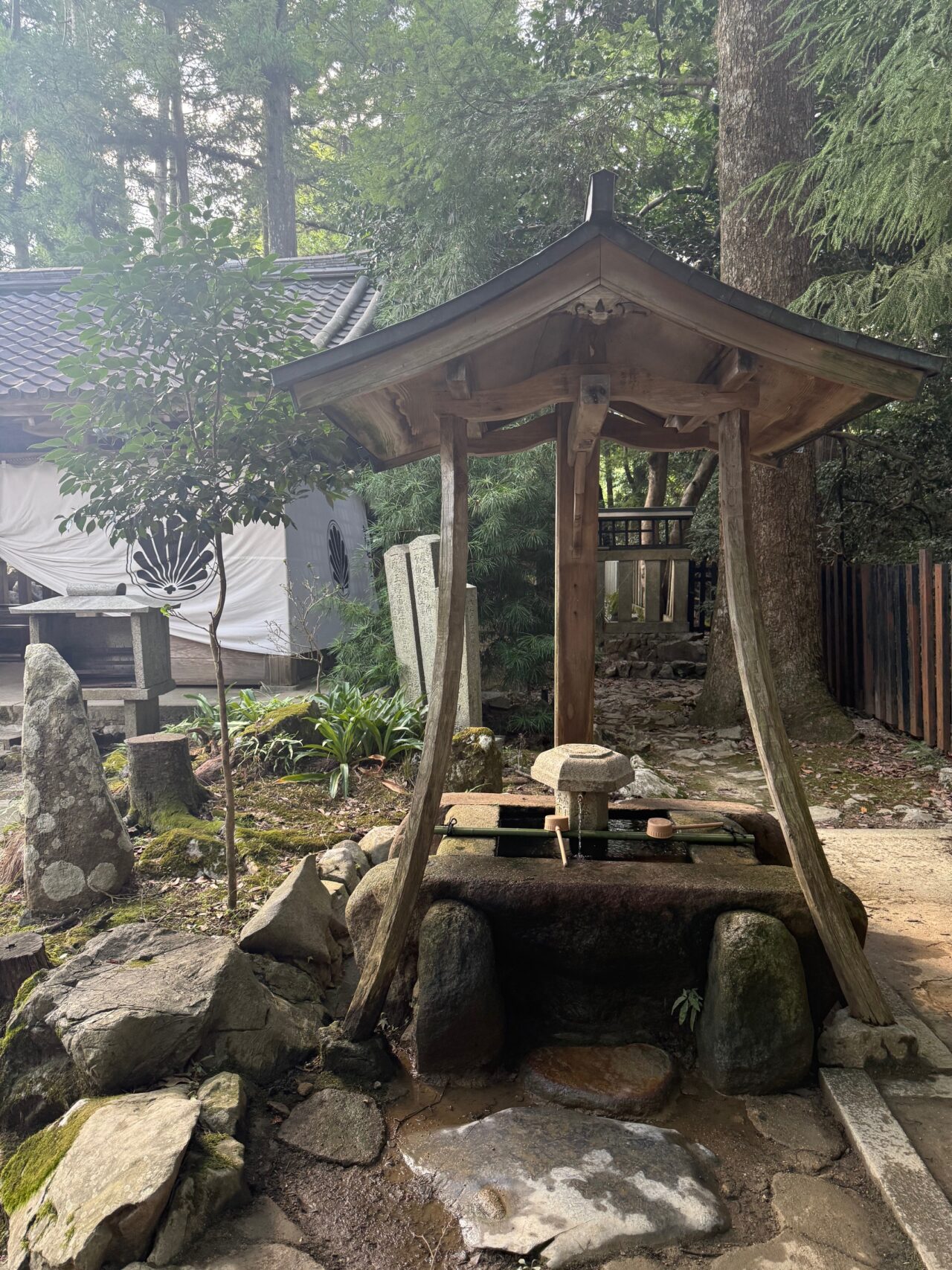以前に比べて全体的にスッキリしてきました