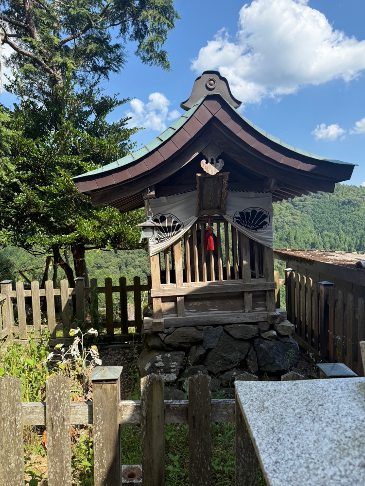 CTで白い大きな塊の影が消失していた
