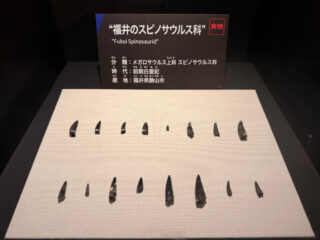 本草学1、東洋医学の思想