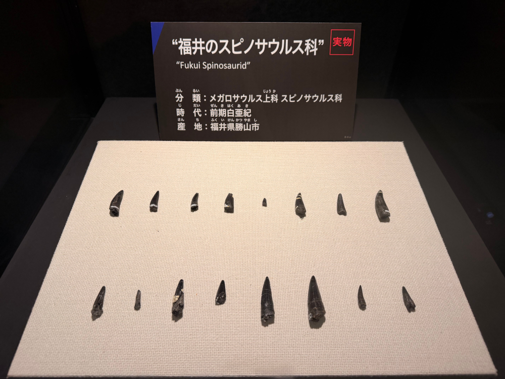 本草学1、東洋医学の思想