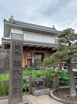 田植えができるほどに体力向上