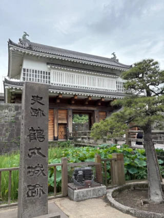 田植えができるほどに体力向上