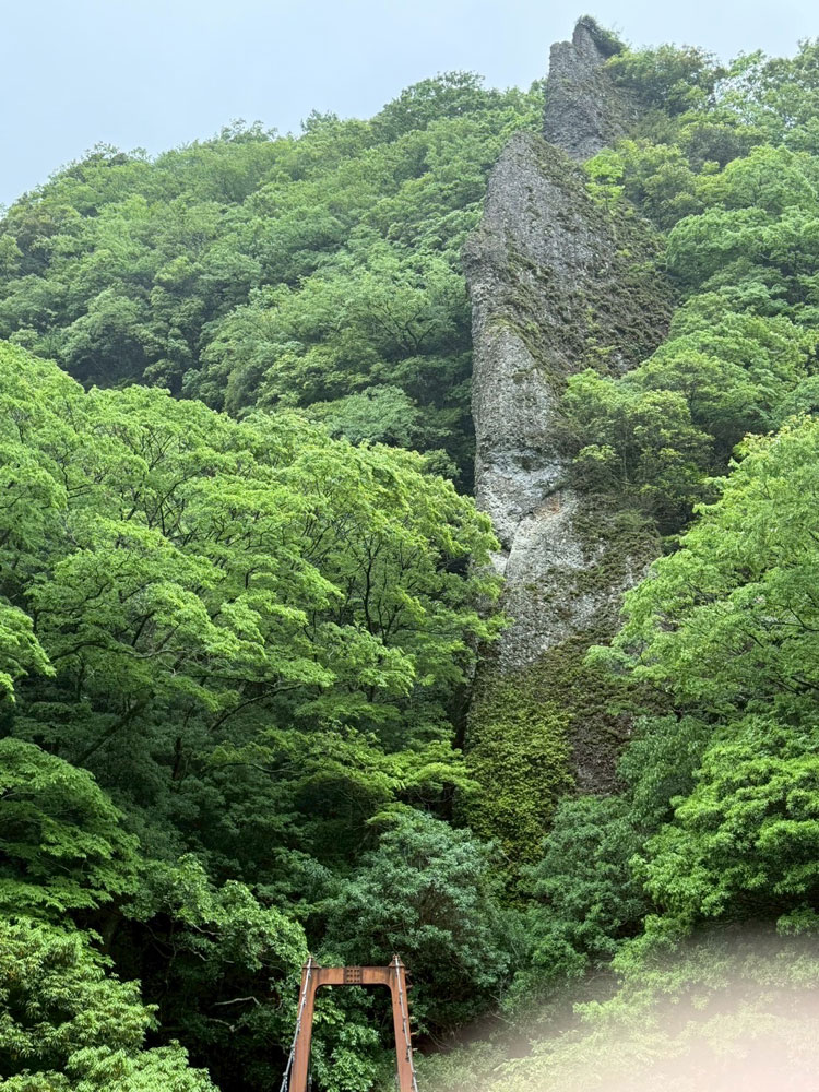 ヤマタノオロチ