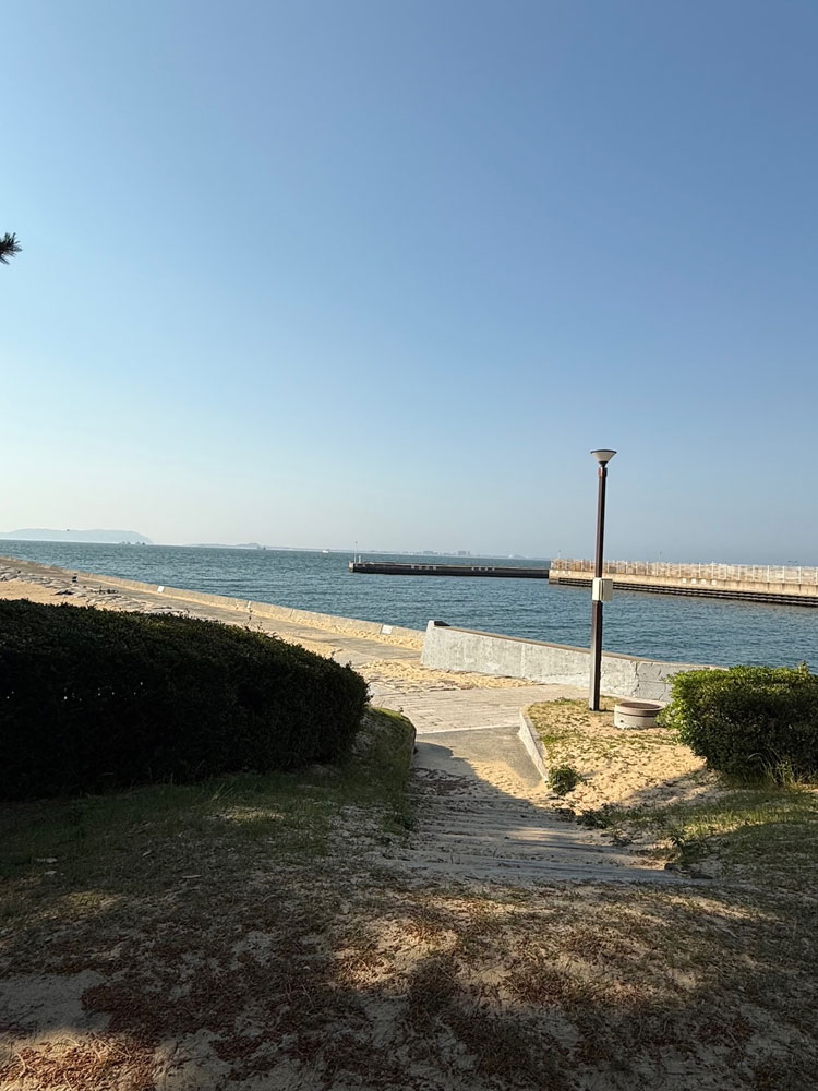 福岡市の福浜から百道浜