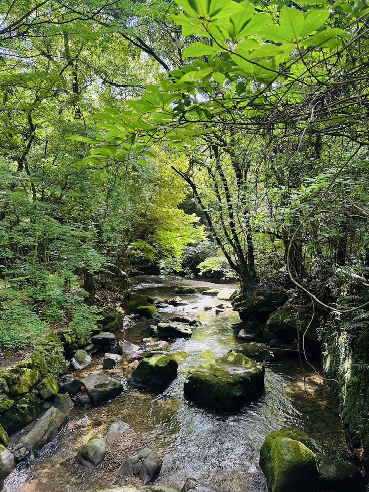 鹿児島市谷山の慈眼寺に流れる和田川