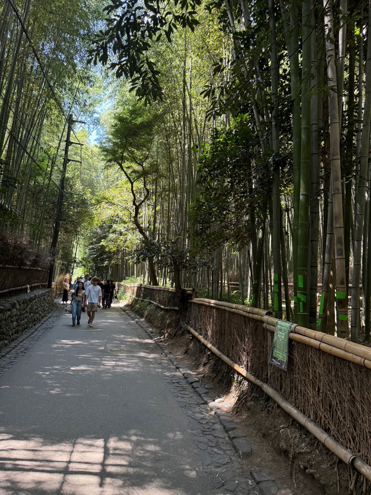 嵐山の竹林
